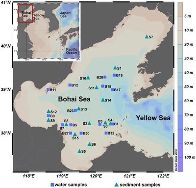 Comparison of assembly process and co-occurrence pattern between planktonic and benthic microbial communities in the Bohai Sea